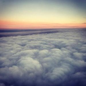 Meet your Posher, Bettina